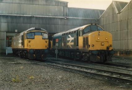 26004 clags!
